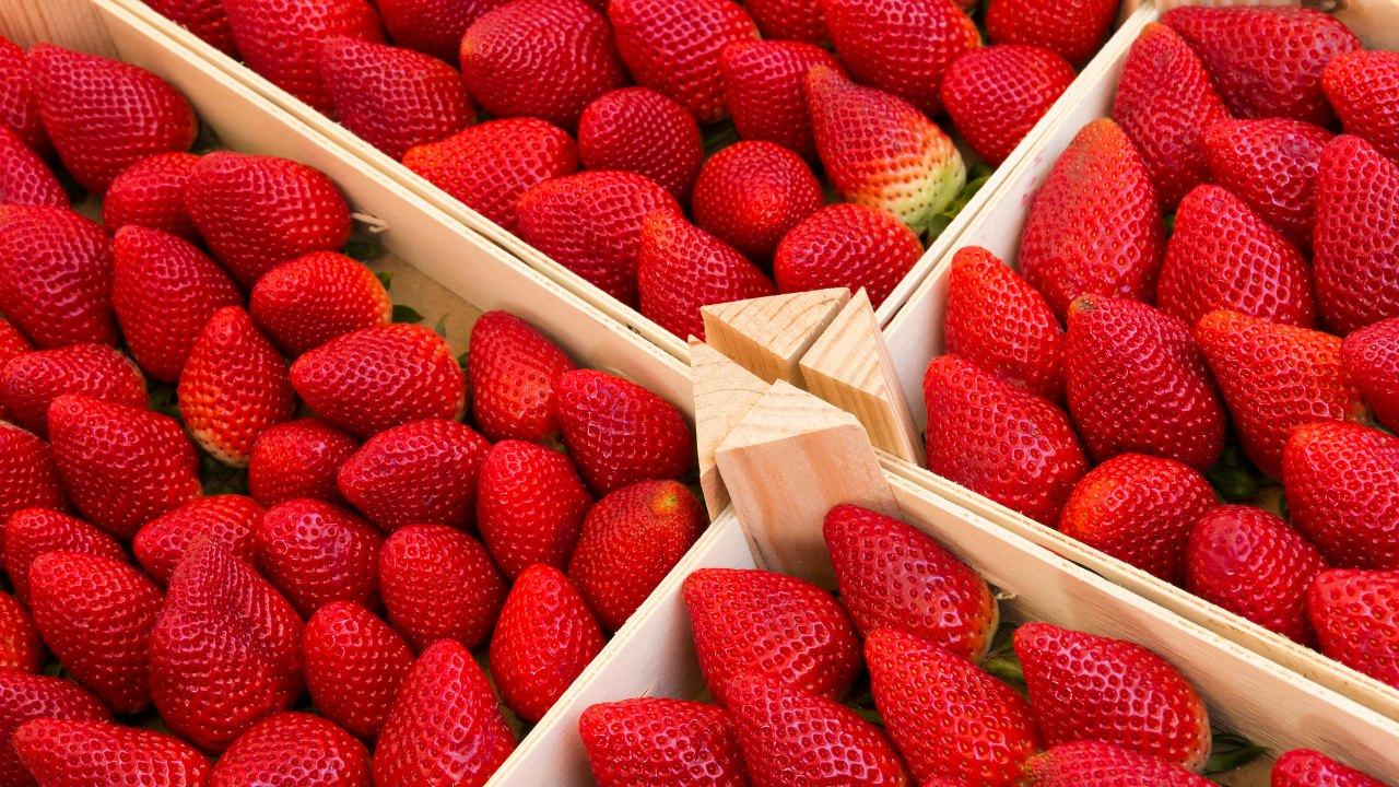 Strawberries packed tightly into shallow wooden crates