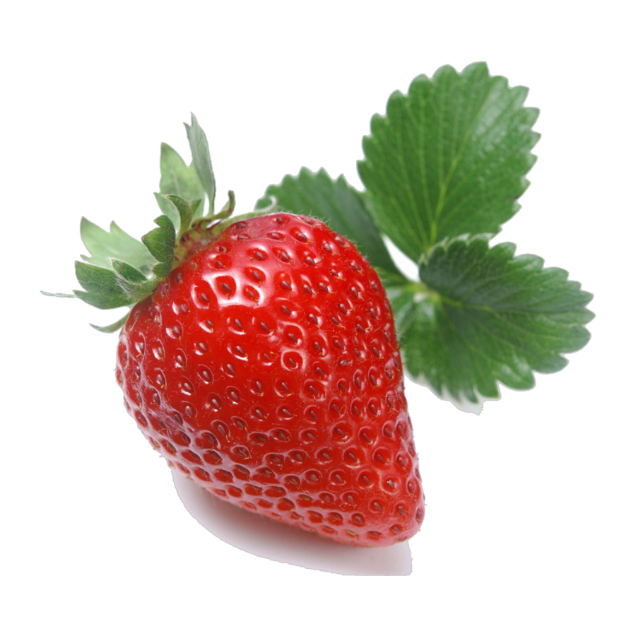 Sweet Charlie strawberries